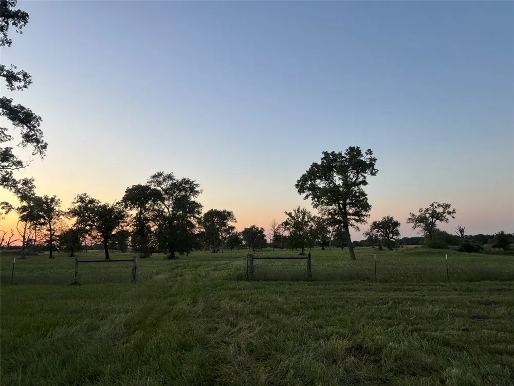 296 LCR 806 Groesbeck, TX 76642