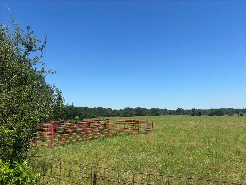 296 LCR 806 Groesbeck, TX 76642