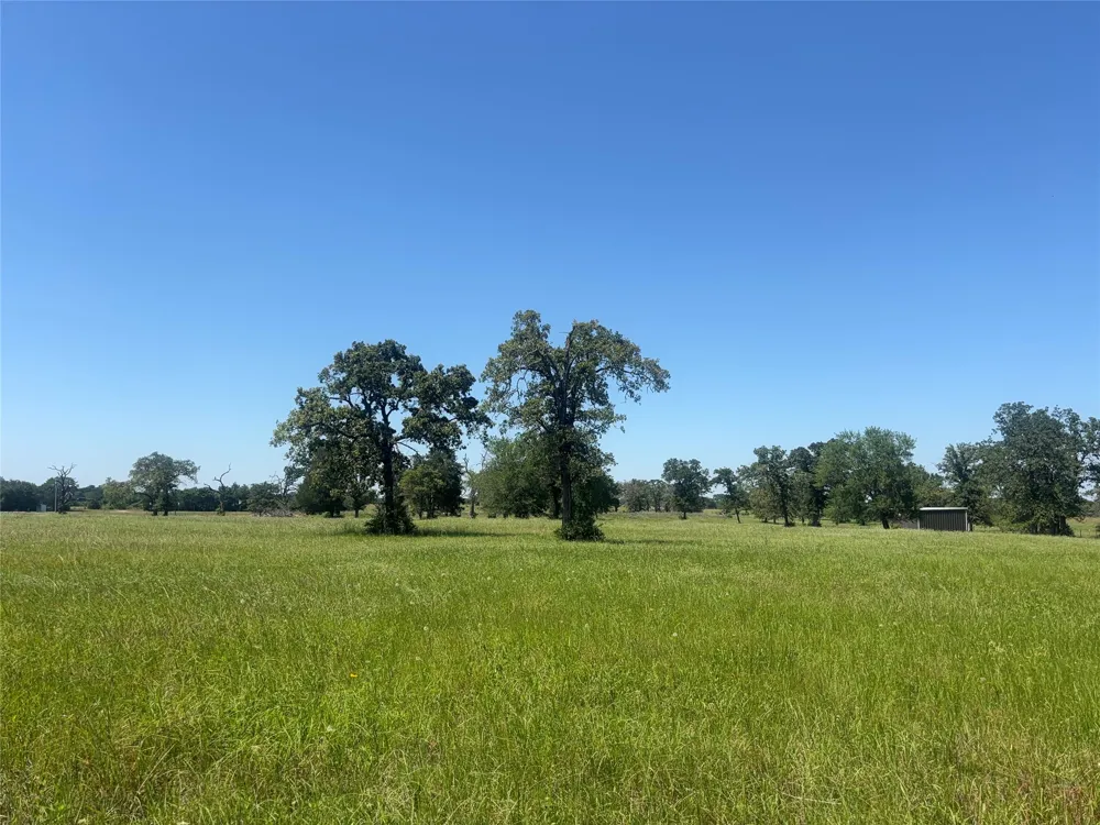 296 LCR 806 Groesbeck, TX 76642