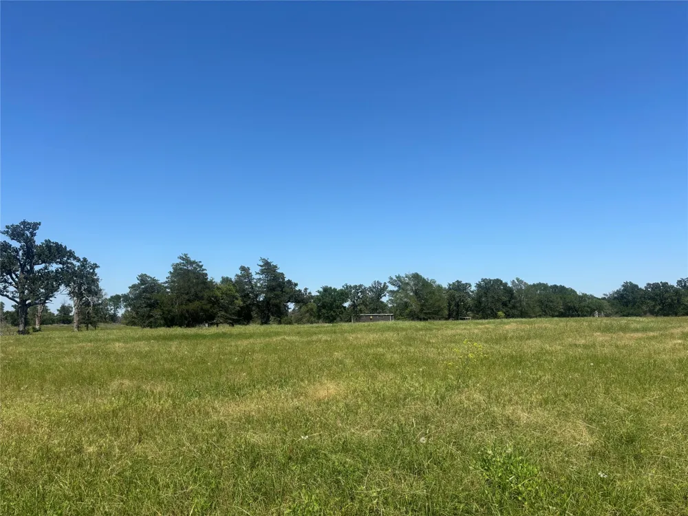 296 LCR 806 Groesbeck, TX 76642