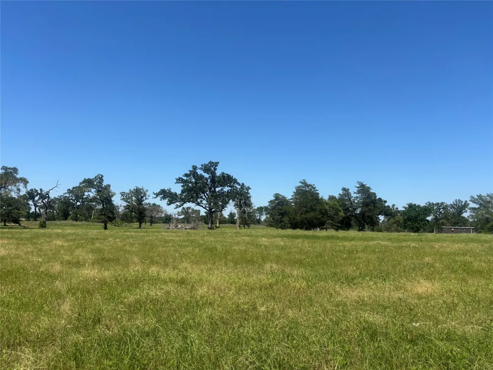 296 LCR 806 Groesbeck, TX 76642