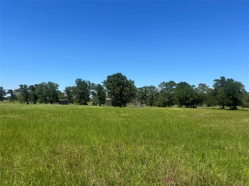 296 LCR 806 Groesbeck, TX 76642
