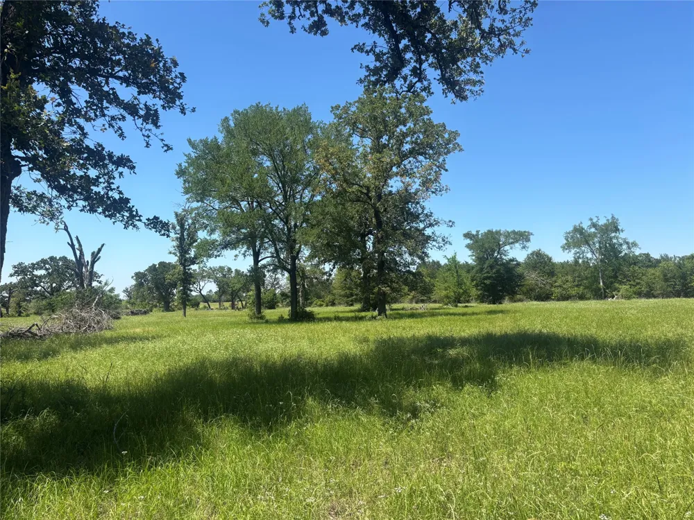 296 LCR 806 Groesbeck, TX 76642