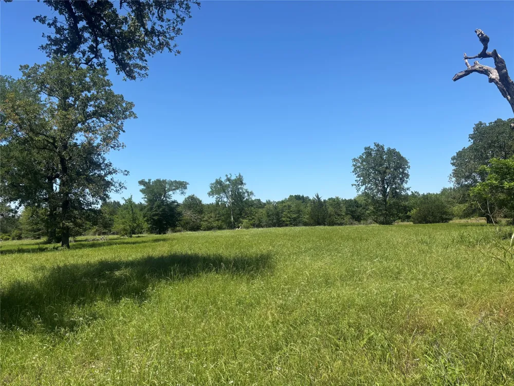 296 LCR 806 Groesbeck, TX 76642