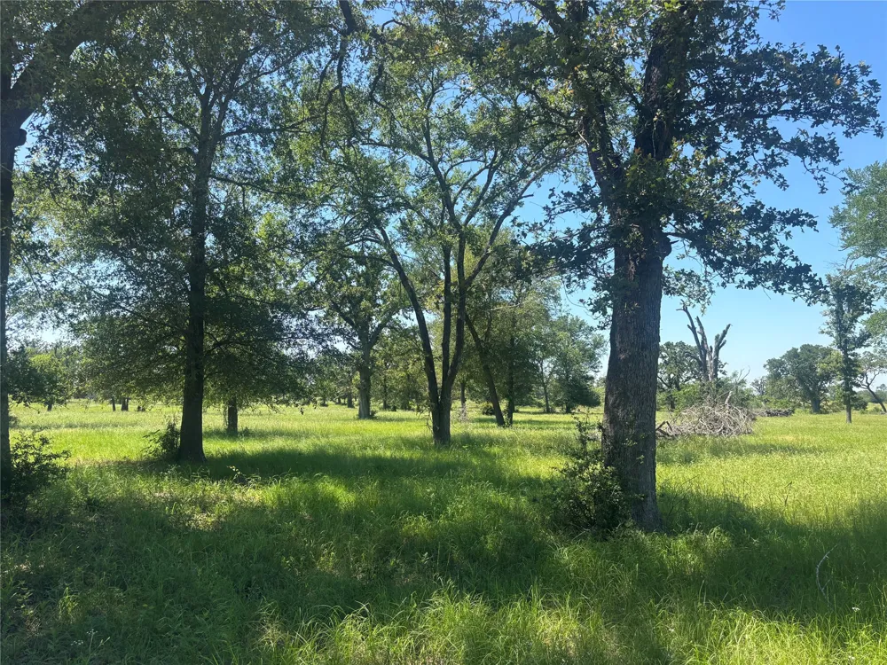 296 LCR 806 Groesbeck, TX 76642