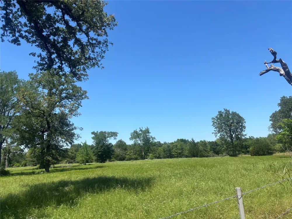 296 LCR 806 Groesbeck, TX 76642