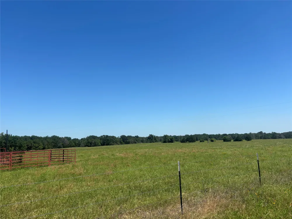 296 LCR 806 Groesbeck, TX 76642