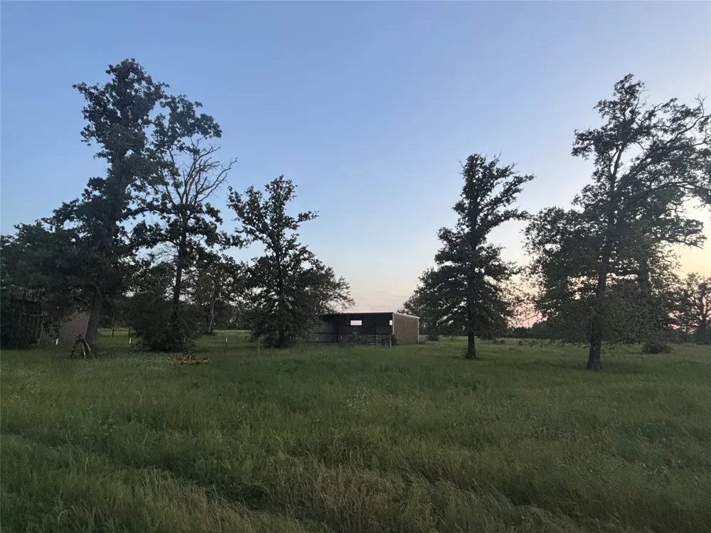 296 LCR 806 Groesbeck, TX 76642