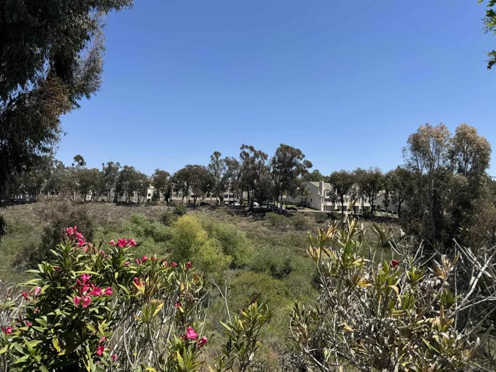 5687 Menorca Dr San Diego, CA 92124