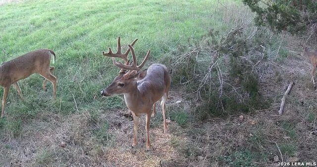 3584 Privilege Creek Road Bandera, TX 78063