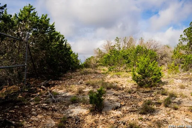 3584 Privilege Creek Road Bandera, TX 78063