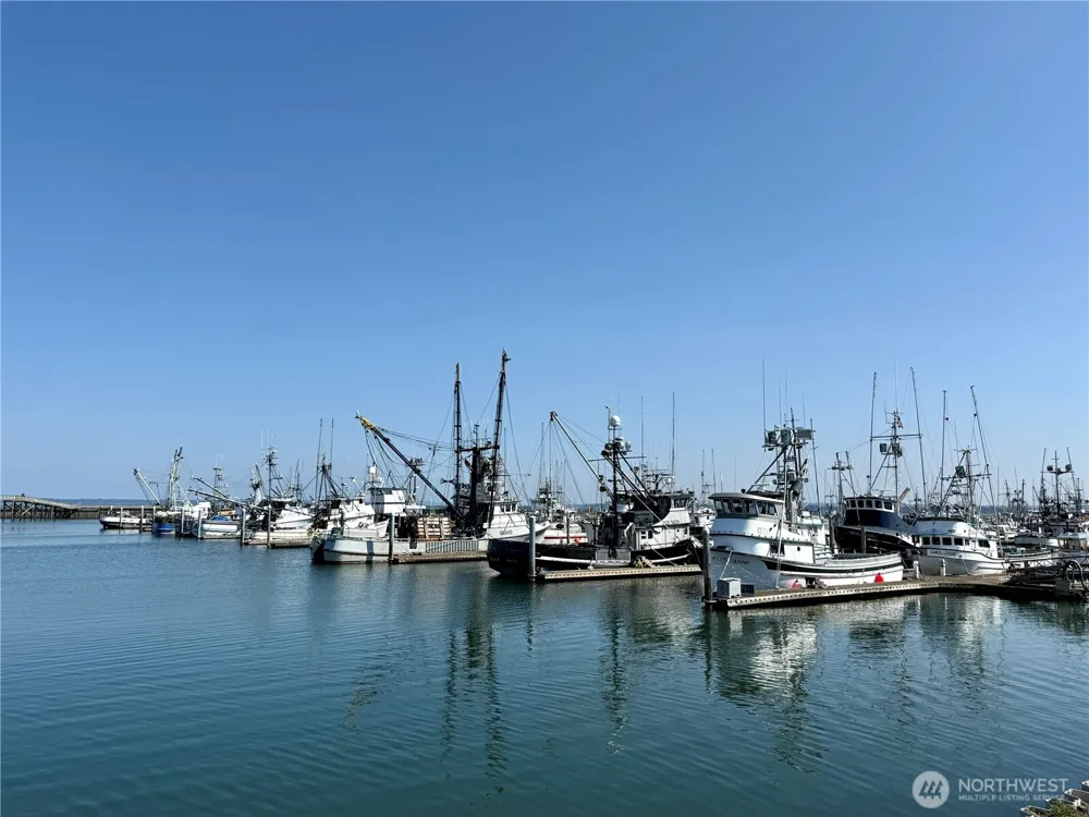 2855 S Forrest Street #203 Westport, WA 98595