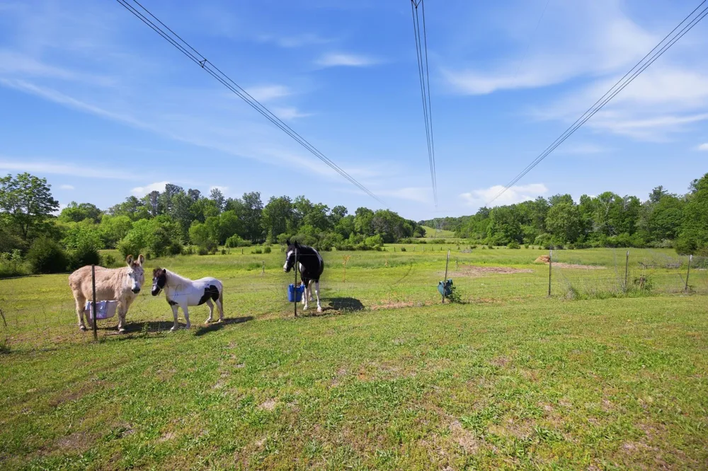 5975 Grasshopper Rd Birchwood, TN 37308