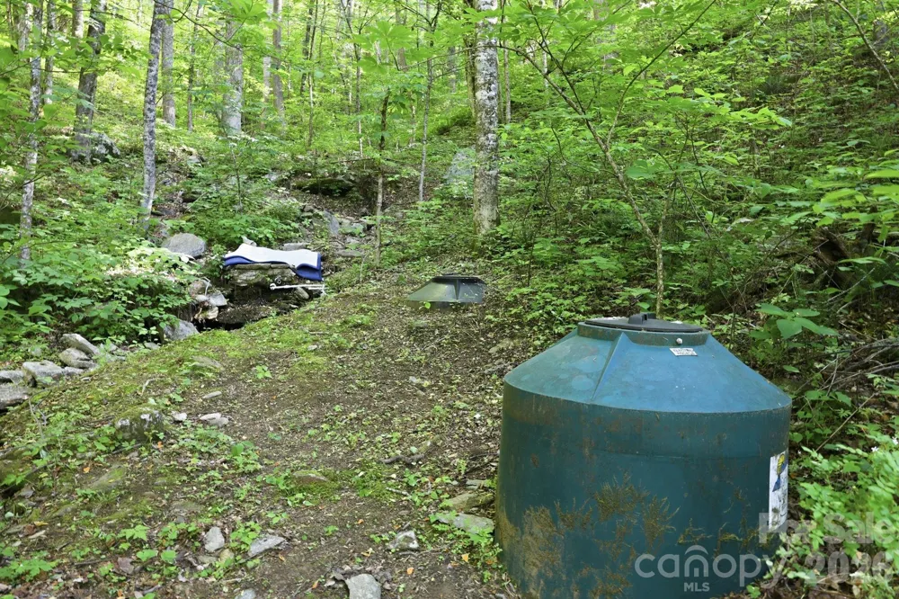 98 Sparkling Springs Road Fairview, NC 28730