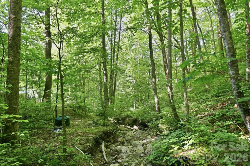 98 Sparkling Springs Road Fairview, NC 28730