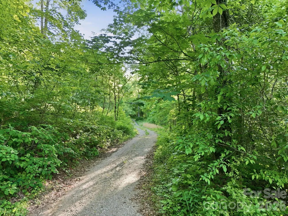 98 Sparkling Springs Road Fairview, NC 28730