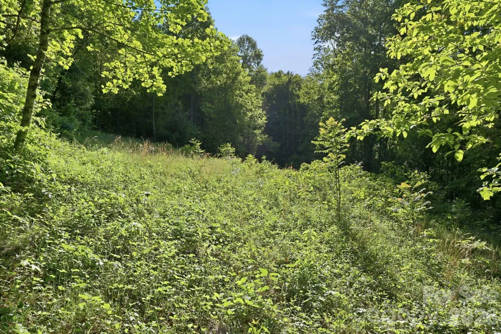98 Sparkling Springs Road Fairview, NC 28730