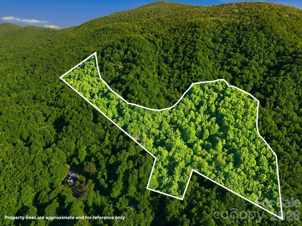 98 Sparkling Springs Road Fairview, NC 28730