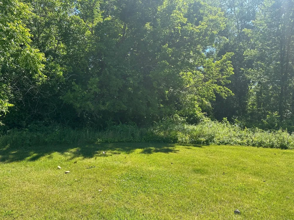 109 Diamond Point Lane New Buffalo, MI 49117