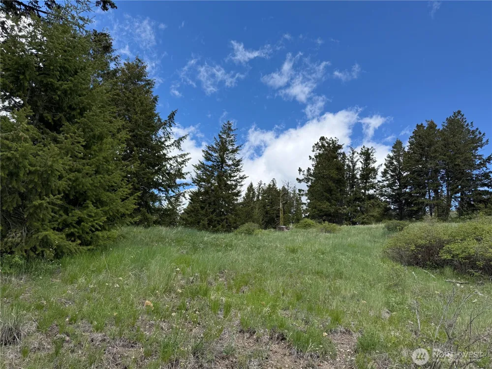 0 Old Sheridan Road Wauconda, WA 98859