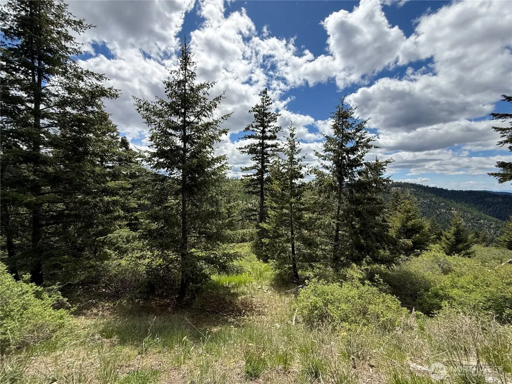 0 Old Sheridan Road Wauconda, WA 98859