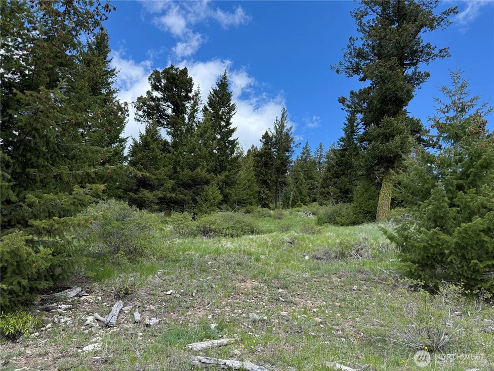 0 Old Sheridan Road Wauconda, WA 98859
