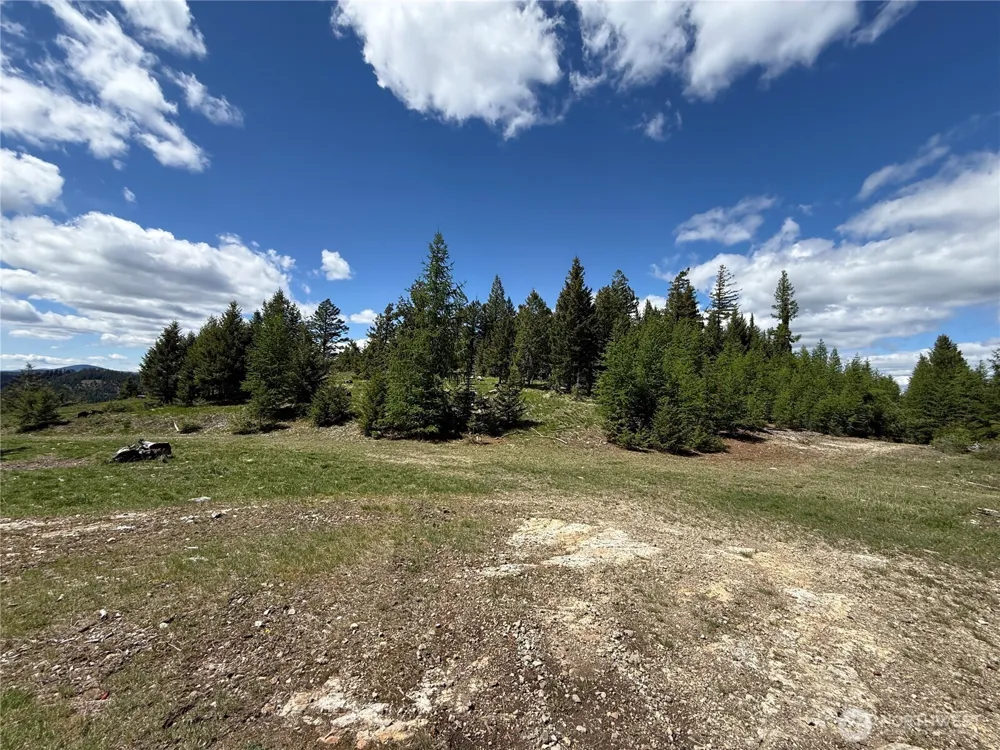 0 Old Sheridan Road Wauconda, WA 98859