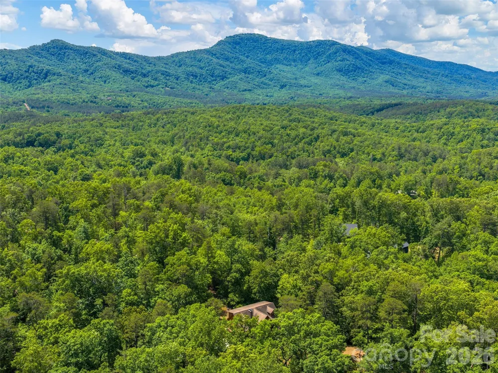 413 Green Hills Road Mill Spring, NC 28756