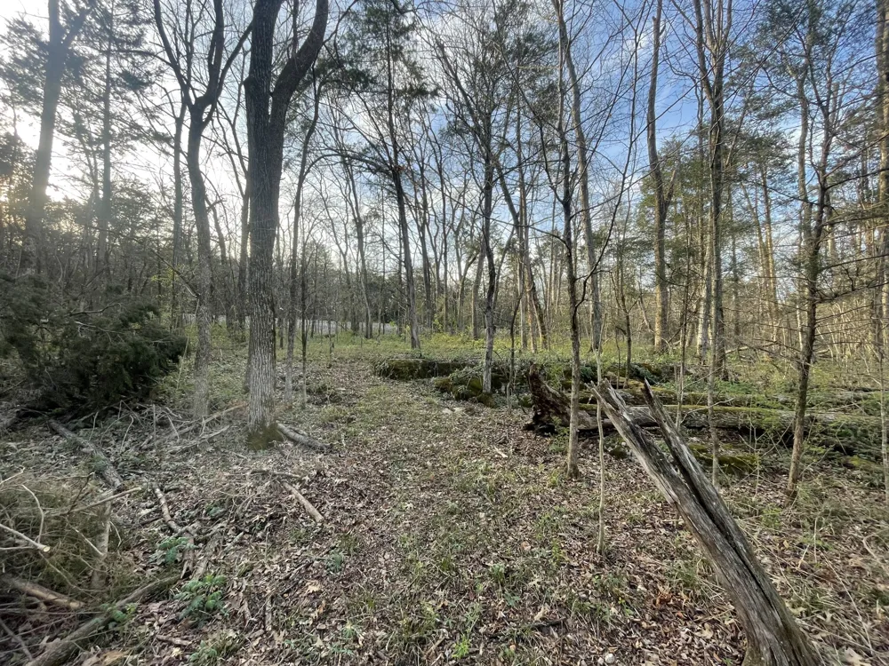 9290 Christiana Fosterville Rd Christiana, TN 37037