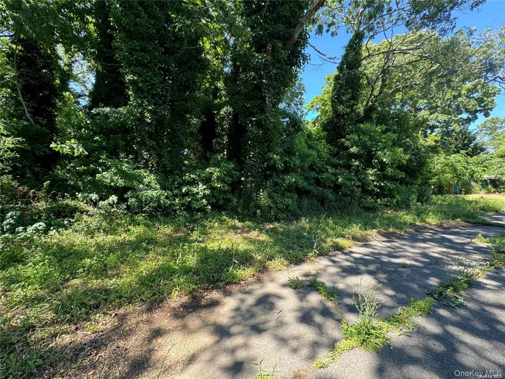 215 Cortland Street Copiague, NY 11726