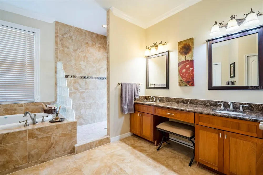 22754 MAGNOLIA TRACE BOULEVARD Lutz, FL 33549