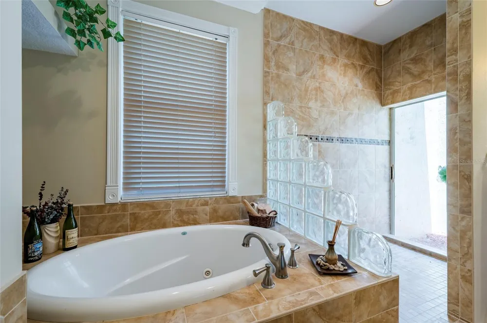 22754 MAGNOLIA TRACE BOULEVARD Lutz, FL 33549
