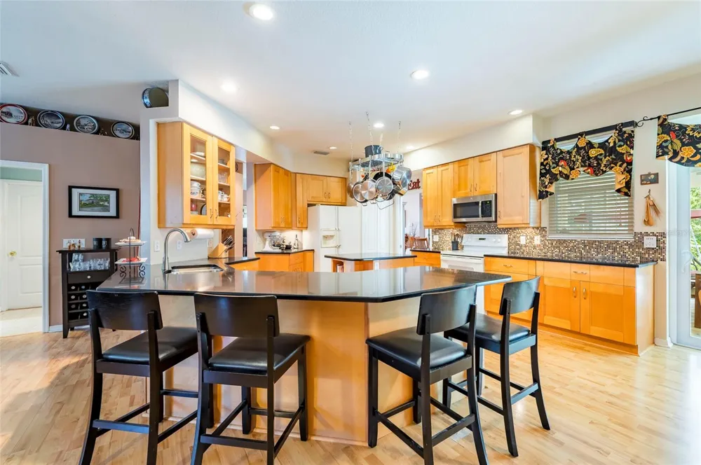 22754 MAGNOLIA TRACE BOULEVARD Lutz, FL 33549