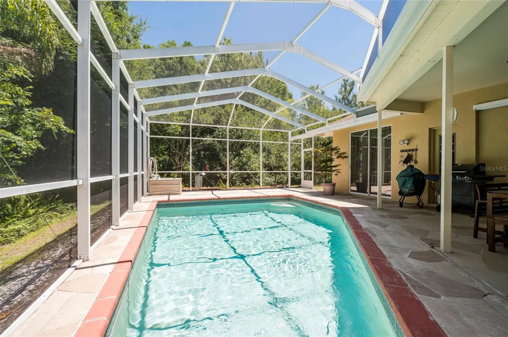 22754 MAGNOLIA TRACE BOULEVARD Lutz, FL 33549