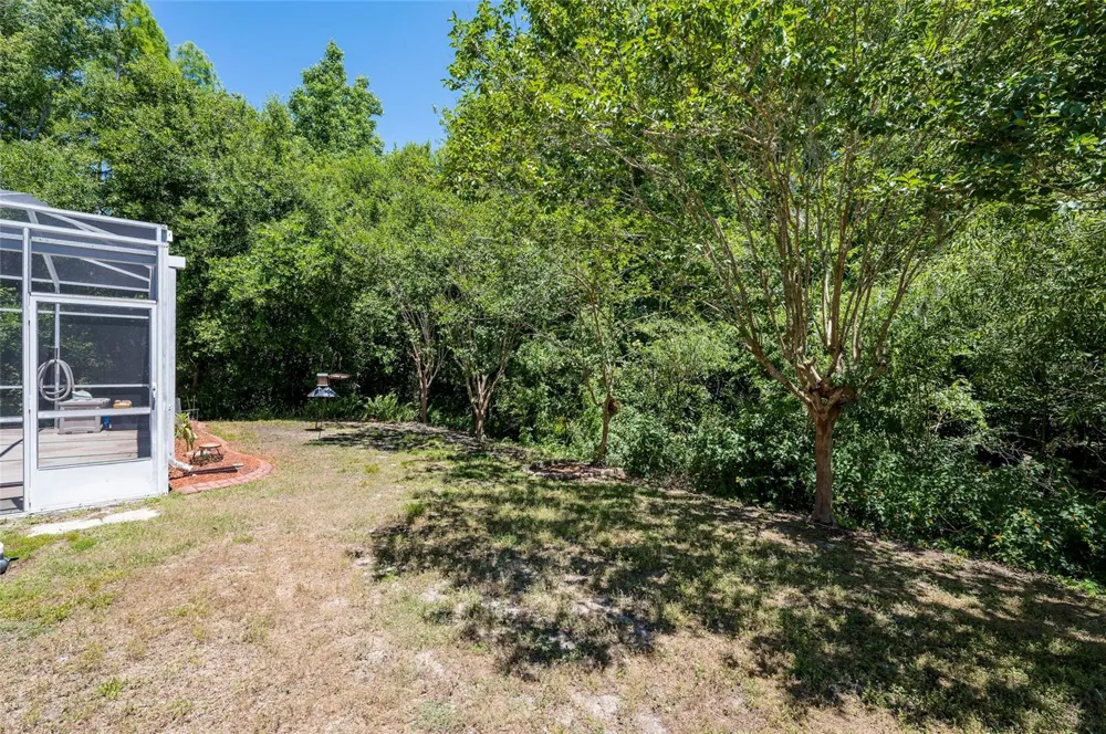 22754 MAGNOLIA TRACE BOULEVARD Lutz, FL 33549
