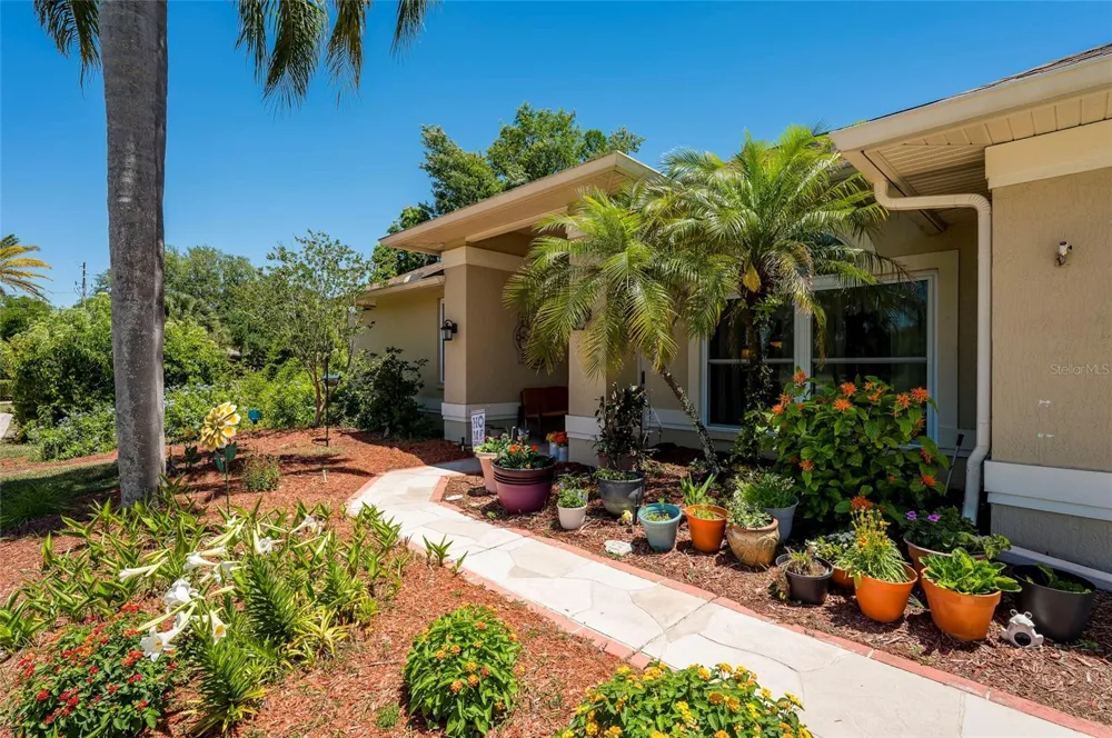 22754 MAGNOLIA TRACE BOULEVARD Lutz, FL 33549