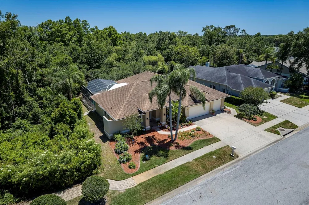 22754 MAGNOLIA TRACE BOULEVARD Lutz, FL 33549