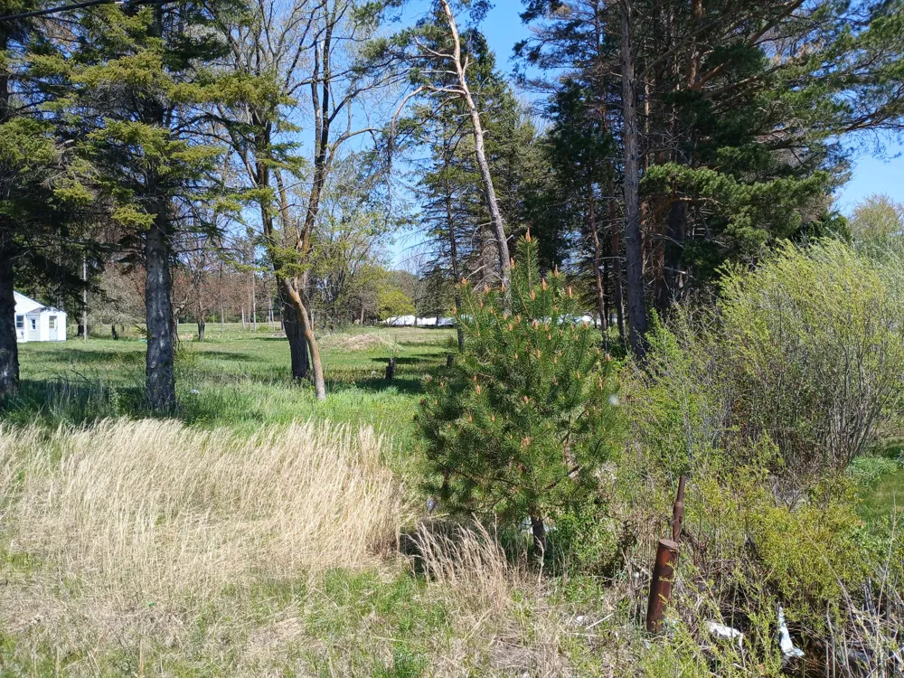 76 Meyers Road Ludington, MI 49431