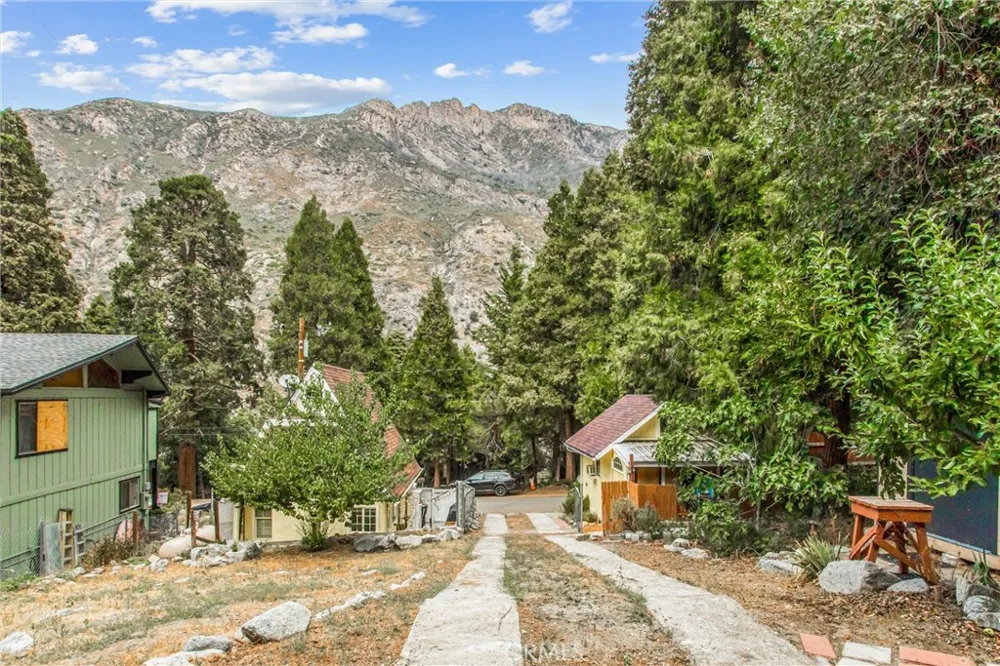 39429 Canyon Drive Forest Falls, CA 92339