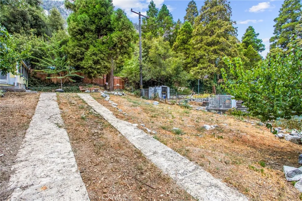 39429 Canyon Drive Forest Falls, CA 92339