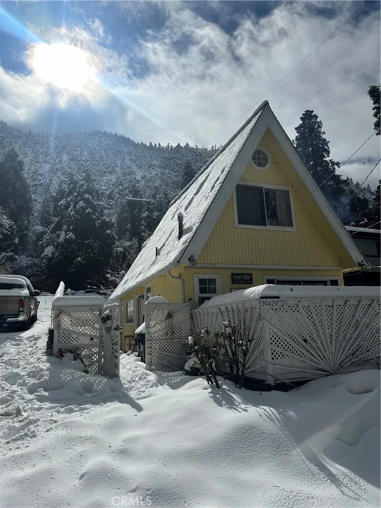 39429 Canyon Drive Forest Falls, CA 92339