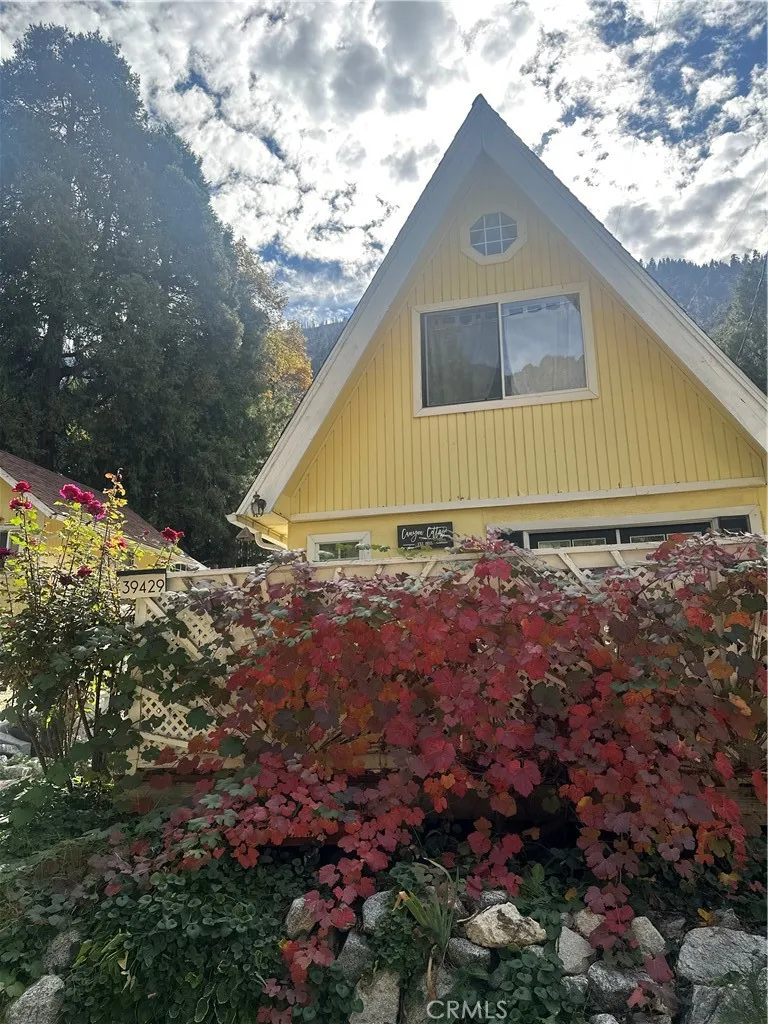 39429 Canyon Drive Forest Falls, CA 92339