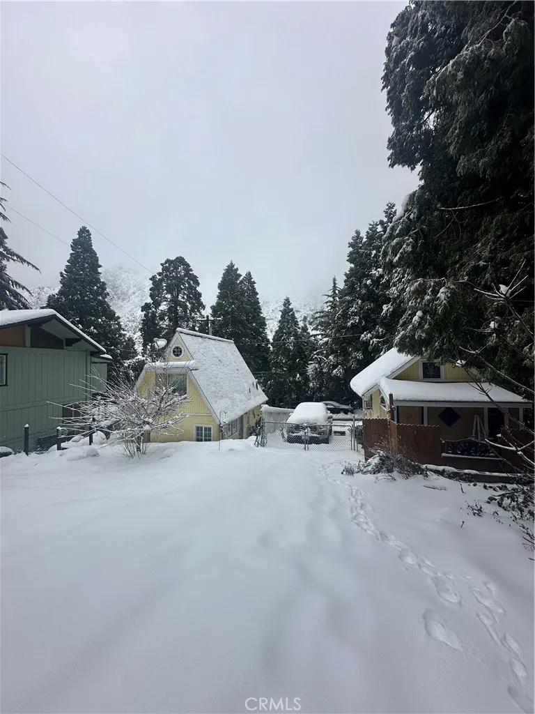 39429 Canyon Drive Forest Falls, CA 92339