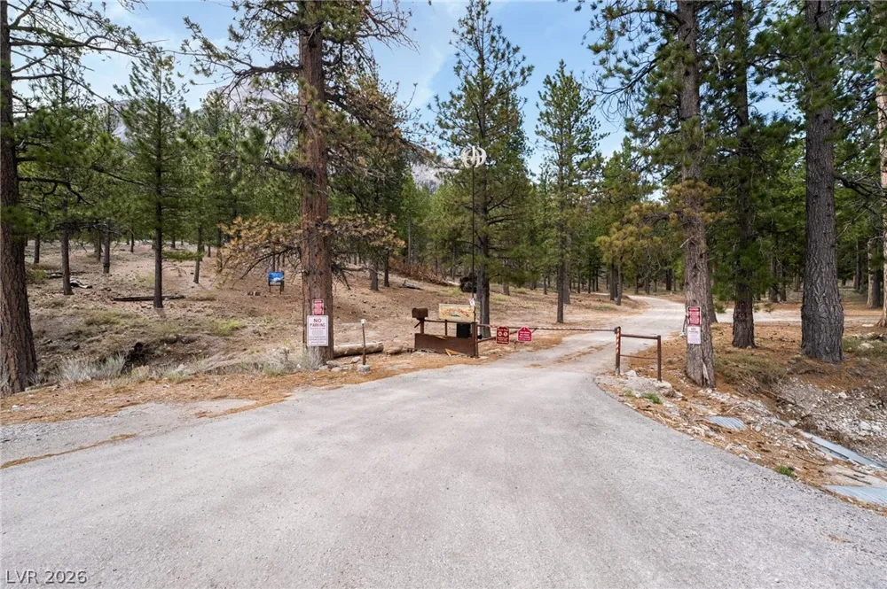 2193 Via Spes Nostra Street Mount Charleston, NV 89124