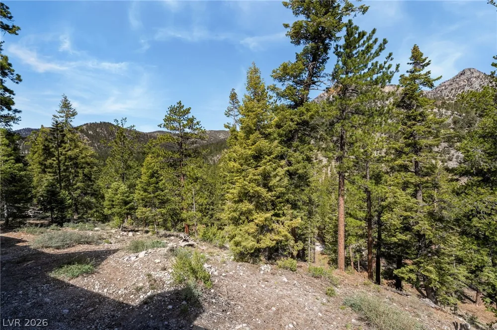 2193 Via Spes Nostra Street Mount Charleston, NV 89124