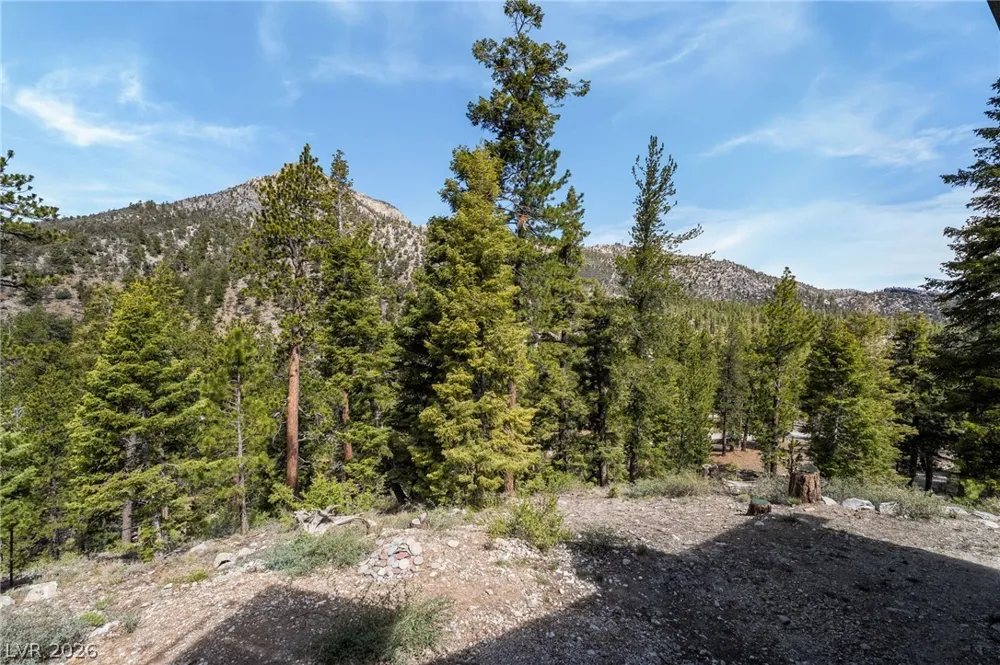 2193 Via Spes Nostra Street Mount Charleston, NV 89124