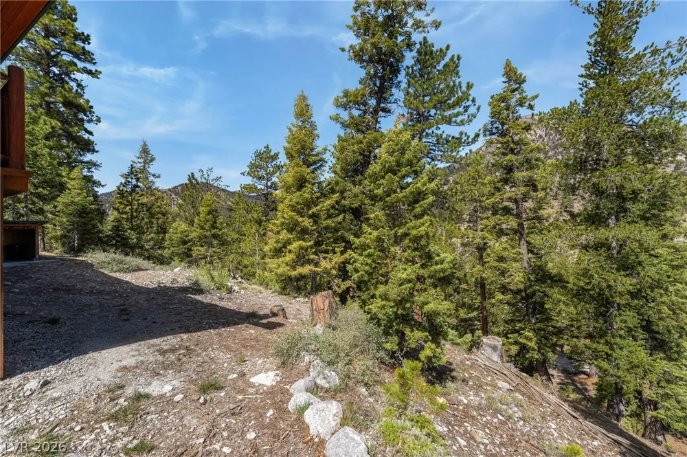 2193 Via Spes Nostra Street Mount Charleston, NV 89124