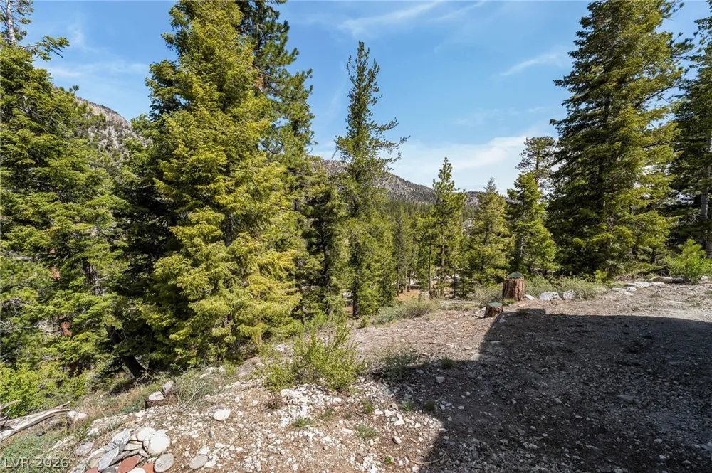 2193 Via Spes Nostra Street Mount Charleston, NV 89124