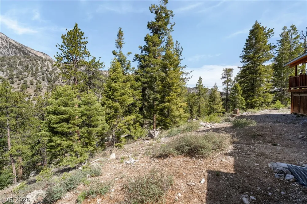 2193 Via Spes Nostra Street Mount Charleston, NV 89124