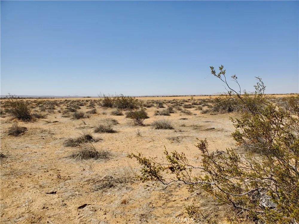 2 Dover Avenue Kramer Junction, CA 93516
